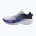 Bėgimo batai Mizuno Wave Rider 30 vulcan/lilac hint/moonlit ocean