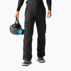 Vyriškos slidinėjimo kelnės Dare 2b Baseplate Insulated Pant black
