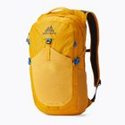Miesto kuprinė Gregory Nano 20 l hornet yellow