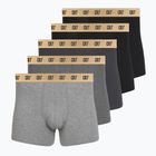 Vyriškos trumpikės CR7 Basic Trunk 5 pack multicolour