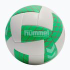 Rankinio kamuolys Hummel Evolution Advanced AR HB off white/green/red size 3