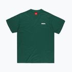 Vyriški marškinėliai PROSTO Have green KL222MTEE13143