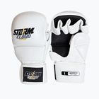 Grapplingo pirštinės StormCloud Hurricane white/black