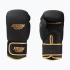 Bokso pirštinės StormCloud Boxing Pro black/gold