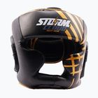 Bokso šalmas StormCloud Lynx black/gold
