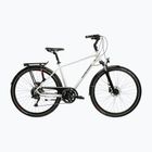 Žygio dviratis KROSS Trans 5.0 grey/navy blue/gloss