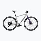 Gravel dviratis KROSS Esker 1.0 FL grey/purple/gloss