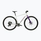 Gravel dviratis KROSS Esker 1.0 FL grey/purple/gloss