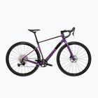 Gravel dviratis KROSS Esker ADV 1.0 purple/matte