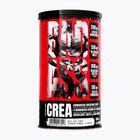 Kreatinas Fitness Authority Bad Ass Crea 300 g exotic