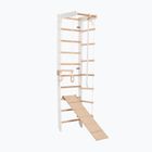 Gimnastikos kopėčios RINAGYM SPR B+SLIDE
