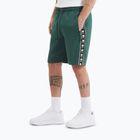Vyriški šortai Pitbull Track Shorts Powers bottle green