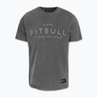 Vyriški marškinėliai Pitbull Mt. Fuji washed grey