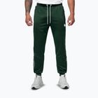 Vyriškos kelnės Pitbull Trackpants Tape Logo Terry Group bottle green