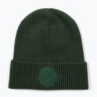 Žieminė kepurė Pitbull Beanie San Diego Ca dark green
