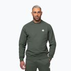Vyriškas džemperis Pitbull Nugget Small Logo Crewneck sage green