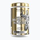 Papildas prieš treniruotę Fitness Authority Levrone Gold Maryland Muscle Machine 385 g fruit punch