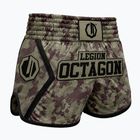 Treniruočių šortai Octagon Legion Kickboxing/Muay Thai Premium frontline