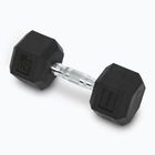 XTREXO Hex HXD100 gumuoti hanteliai 10 kg