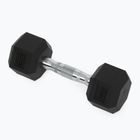 XTREXO Hex HXD50 5 kg gumuoti hanteliai