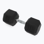 XTREXO Hex 30 kg gumuoti hanteliai