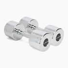 Chromuoti hanteliai XTREXO 2x12 kg sidabriniai