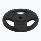 Ketaus apkrova XTREXO TRX-ICP010 10 kg chrom