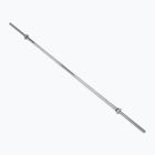 XTREXO tiesus grifonas TX-SBB180 pilkas