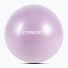 Gimnastikos kamuolys XTREXO TXO-B4Z008-VT 65 cm violetinis