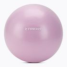 Mini gimnastikos kamuolys XTREXO TXO-B4Z011-VT 25 cm violetinis