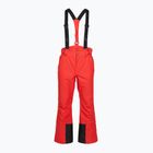 Vyriškos slidinėjimo kelnės 4F Fnk M1155 red