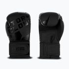 Bokso pirštinės StormCloud Bolt 3.0 black/black