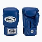 Bokso pirštinės WINDY Classic Synthetic Leather blue