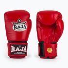 Bokso pirštinės RAJA BOXING Single Standard Genuine Leather red