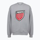 Vyriškas džemperis PROSTO Big Shield Crewneck gray
