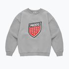 Vyriškas džemperis PROSTO Big Shield Crewneck gray