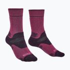 Moteriškos kojinės Bridgedale Heavyweight Performance Boot Original berry/plum