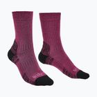 Moteriškos kojinės Bridgedale Lightweight Merino Performance Boot Original berry