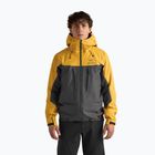 Vyriška softshell striukė Arcteryx Alpha larch/dk grey