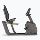 Stacionarus dviratis Matrix Fitness Recumbent Bike R50XR-02 graphite grey