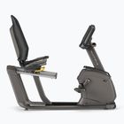 Stacionarus dviratis Matrix Fitness Recumbent Bike R50XIR-02 graphite grey