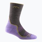 Moteriškos kojinės Darn Tough Light Hiker Micro Crew Cushion taupe