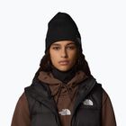 The North Face Dock Worker Recycled žieminė kepurė juoda NF0A3FNTJK31