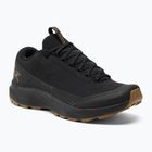 Vyriški žygio batai Arc'teryx Aerios FL 2 black/relic