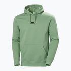 Vyriškas džemperis Helly Hansen Yu Hoodie 2.0 jade 2.0