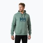 Vyriškas džemperis Helly Hansen HH Logo Hoodie cactus