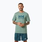 Vyriški marškinėliai Helly Hansen HH Logo cactus