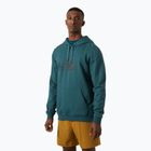 Vyriškas džemperis Helly Hansen Nord Graphic Pull Over Hoodie dark creek