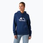 Moteriškas džemperis Helly Hansen Nord Graphic Pullover Hoodie ocean