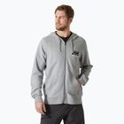 Vyriškas džemperis Helly Hansen HH Logo Full Zip Hoodie 2.0 grey/ melange